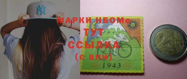 дмт Пересвет
