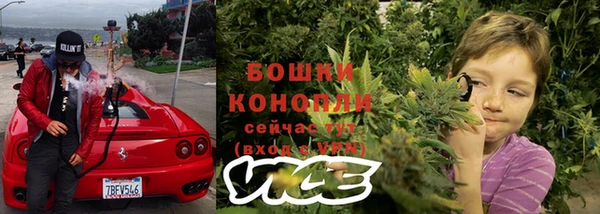 дмт Пересвет