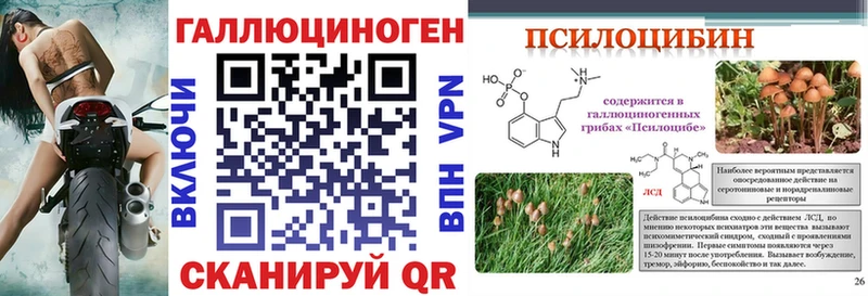 Галлюциногенные грибы прущие грибы  Кстово 
